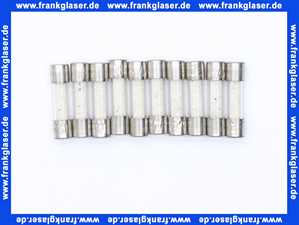 Feinsicherung träge 6,3 A 1 Beutel 10 Stück 6,3 x 32 mm