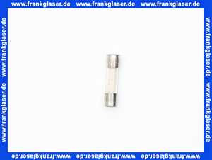 Feinsicherung träge 10 A 1 Beutel 10 Stück 6,3 x 32 mm