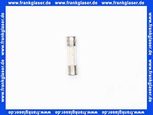 Feinsicherung träge 16 A 1 Beutel 10 Stück 6,3 x 32 mm