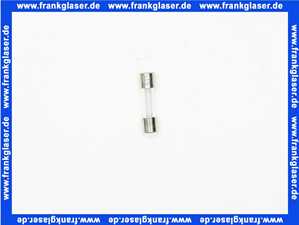 Feinsicherung flink 0,250 A (5x20mm) 10 Stück