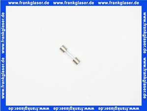 Feinsicherung flink 0,500 A (5x20mm) 10 Stück