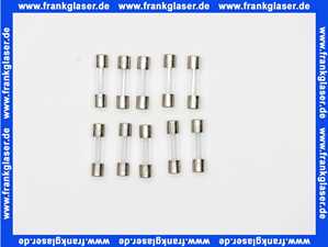 Feinsicherung träge 0,315 A (5x20mm) 10 Stück