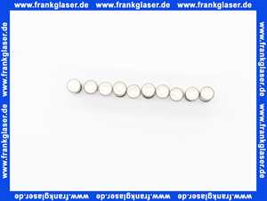 Feinsicherung träge 8 A (5x20mm) 10 Stück