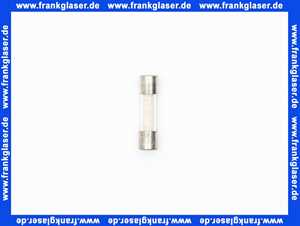 Feinsicherung träge 8 A (5x20mm) 10 Stück