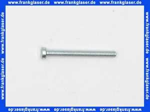 Zylinderschraube 4.8 Schlitz M 5 x 50 DIN 84 verzinkt je Stück