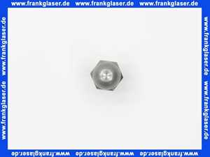 Brennerdüse Fi 0,20/60SF