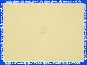 24003100 Geberit Verschlusszapfen Stopfen zu Heberglocke für Umstellung der Spülwassermenge