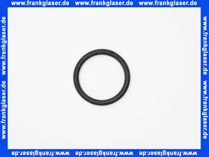 361789001 Geberit PE Rundschnurring di49x6