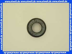 152495001 Geberit Dichtung