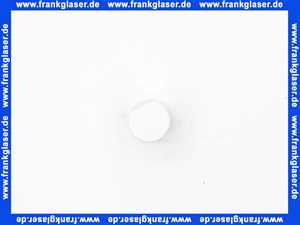 243662111 Geberit AquaClean Duschdüse Sela mit Whirl Spray weiß-alpin