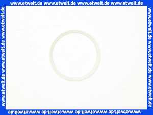 89172111 Geberit Schleifring