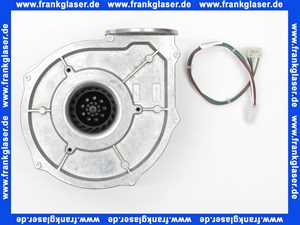 072051123 Giersch Gebläse G1G 126-AC 13-20 für GiegaStar komplett