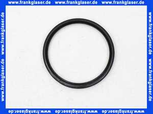 4207700M Grohe Lippendichtung 42077 1 Stück