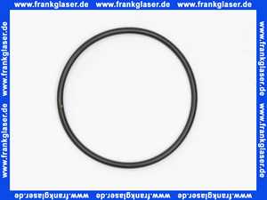 4283600 Grohe O-Ring 42836 für Tectron und Tipptronic (1 Stück)