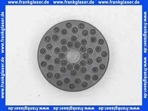 45663 Grohe Brauseboden für Kopfbrause Dual verchromt