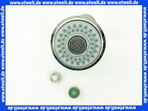 46173IE0 Grohe Handbrause chrom / fehgrau