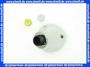 46173IE0 Grohe Handbrause chrom / fehgrau