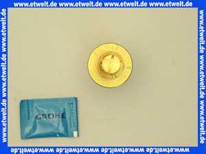 47024 Grohe Dehnstoff-Thermoelement 1/2