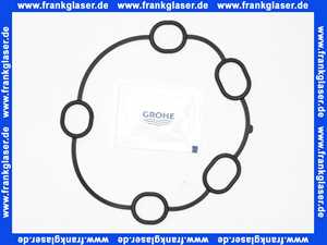 Grohe Dichtung 48360 48360000