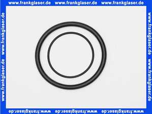 101625-E Grünbeck Dichtung für FS-B 1 1/4 Zoll