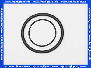 101625e Grünbeck Dichtring