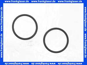 101641e Grünbeck Dichtungssatz BOXER, FS-B 1 Zoll, 1 1/4 Zoll Glocken-O-Ring, Inhalt 2 Stück