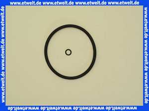 GB 105001 Gruenbeck Dichtungssatz f.Feinfilter GN 3/4 -2 Zol