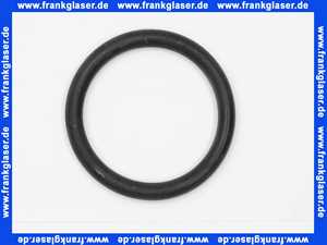1 Dichtungsring 107660 zu Kombi Feinfilter Typ FSV