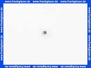 128683E Grünbeck Injektorsieb (Inhalt 1 Stück)