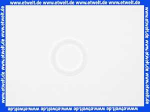 151656E Grünbeck Flachdichtung Wassermesserdichtung 1 Zoll