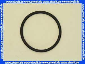 87000113 Grünbeck O-Ring 68x5