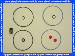 405096 Grundfos Wellendichtung