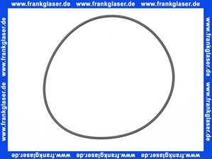 Grundfos 1 Stück O-Ring 171,04 x 3,53 EPDM 97511824