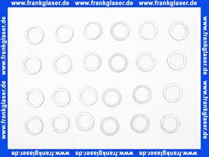 Grundfos VPE 24ST Halter für Dichtungsring UPPER 98270018