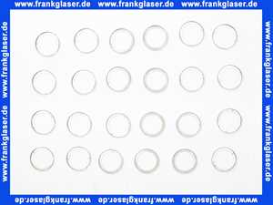 Grundfos VPE 24ST Halter für Dichtungsring UPPER 98270018