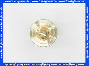 29918000 Hans Grohe Regeleinheit Pharo für Duschtempel Komfort DN 20