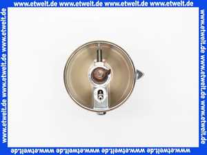 36391090 Hans Grohe Griff Axor Allegroh Novo Thermostat chrom/gold optik