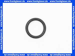 92146000 Hans Grohe O-Ring Dichtung 25X2,5mm