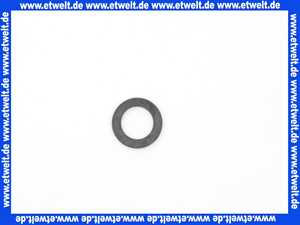 92314000 Hans Grohe Schlauchring 13x20x3