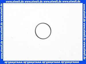 92542000 HansGrohe Dichtung O-Ring Dichtrichtring