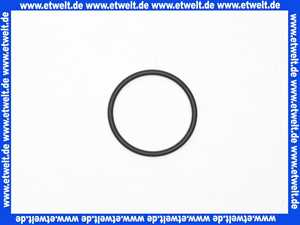 92634000 Hans Grohe O-Ring Thermostat DN20