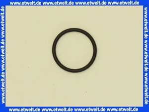 92953000 Hans Grohe O-Ring Dichtung 24 x 1,0mm