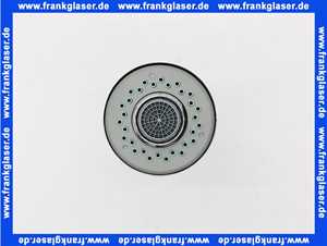 Hansgrohe Ausziehbrause Allegra Variarc Eco chr 93490000