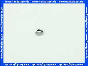 94063880 Hansgrohe Griffstopfen edelmatt