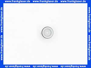 95699000 Hans Grohe Rückflussverhinderer DN10