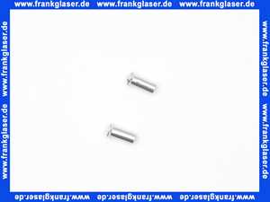 96065000 Hans Grohe Hohlschraube M5 chrom zur Resettenmontage