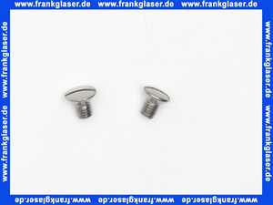 96069000 Hans Grohe Linsensenkschraube M 5x8 poliert