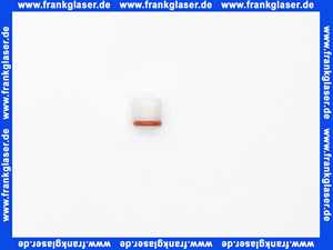 96456000 Hans Grohe Rückflussverhinderer DW10