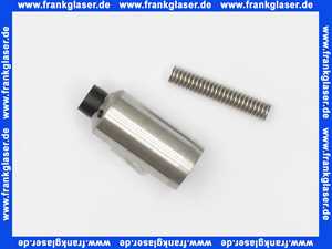 97119000 Hansgrohe Feder und Stössel