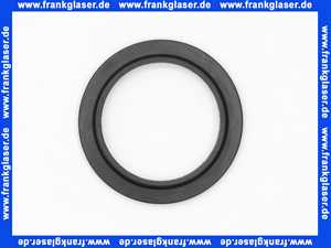 97205000 Hans Grohe Dichtung